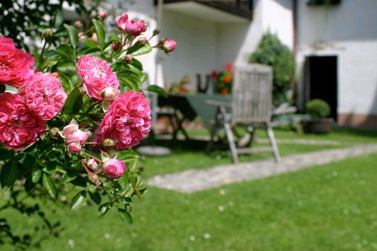 Landhotel Neugebauer Löllinggraben Esterno foto
